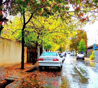 بارش برف و باران در اغلب استان‌های کشور