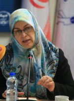پیشنهادات مطرح شده در دیدار فعالان سیاسی با علی شمخانی