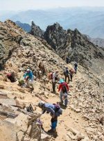 تبعات آلودگی هوا بر حیات کوهستان