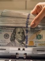 میرتاج‌الدینی: بانک مرکزی برای کنترل ارز سیاست‌های درست و قاطعی داشته باشد