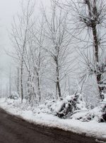 برف و باران در جاده‌های ۹ استان کشور/ انسداد ۹ محور و کاهش ترددهای جاده‌ای