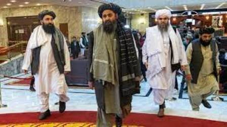یک استاد دانشگاه: طالبان چارهای جز تن دادن به واقعیت ندارد یک استاد دانشگاه: طالبان چارهای جز تن دادن به واقعیت ندارد