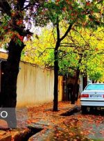 بارش برف و باران در ۱۹ استان/ هشدار اختلال در سفرهای بین‌ شهری