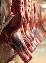 توزیع گوشت گوسفندی ۱۴۲ هزار تومانی بدون محدودیت در کشور