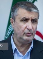 اسلامی: با آژانس هیچ بن‌بستی نداریم/ برنامه تنظیم سفر گروسی به ایران در دستور کار است