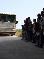 کشف ۳۴۳ مهاجر رهاشده در یک تریلی در شرق مکزیک