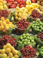 قیمت‌ میوه‌های نوبرانه را تایید نمی‌کنیم/ سایه “سیاه بهار” بر بازار میوه