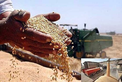 گندمکاران منتظر خبرهای خوب باشند/ قیمت نهایی به زودی اعلام میشود گندمکاران منتظر خبرهای خوب باشند/ قیمت نهایی به زودی اعلام میشود