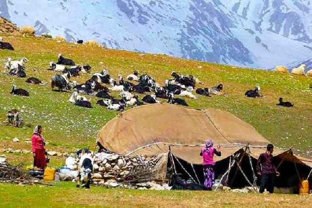 آغاز کوچ بهاره عشایر استان تهران/برپایی۱۲ کمپ عشایری در استان طی ایام نوروز آغاز کوچ بهاره عشایر استان تهران/برپایی۱۲ کمپ عشایری در استان طی ایام نوروز