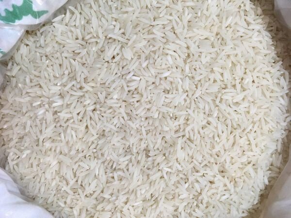 نماینده ساری: ضریب بهره‌وری تولید برنج باید افزایشی شود