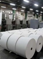 رشد هشت برابری تولید کاغذ در سال ۱۴۰۱