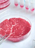 گوشت آزمایشگاهی تا ۲۵ برابر بیشتر کربن تولید می‌کند