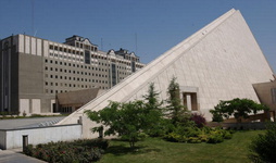 بازندگان هم به بهارستان میروند؟! بازندگان هم به بهارستان میروند؟!
