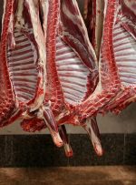 واردات گوشت قرمز از هفته آینده/ بازار به ثبات می‌رسد