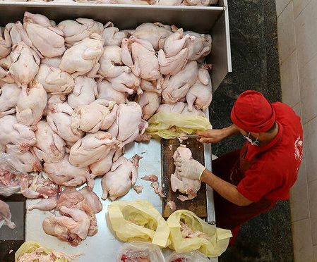 ظرفیت صادرات حدود یک میلیون تن مرغ در سال را داریم/ هماهنگی بین تولید و قیمت ضروری است