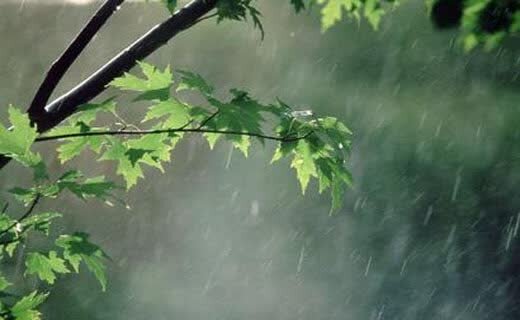 بارش‌های بهاری امسال همچنان ۲۴ درصد کمتر از شرایط «نرمال»