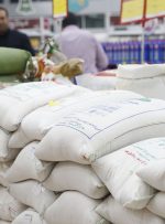 ۵۰۹ هزار تن برنج در ۴ ماهه امسال وارد شد/ افت ۳۱ درصدی واردات