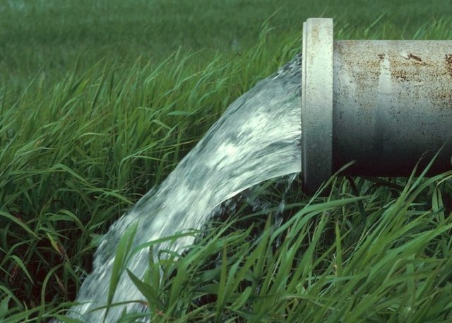 بخش کشاورزی تنها مصرف کننده آب نیست/ حجم میزان مصارف همه بخش‌ها باید مشخص شود