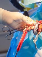 جزئیات فعالیت بانک خون بند ناف سازمان انتقال خون / ذخیره‌سازی ۲۵ ساله با همکاری ۶ بیمارستان