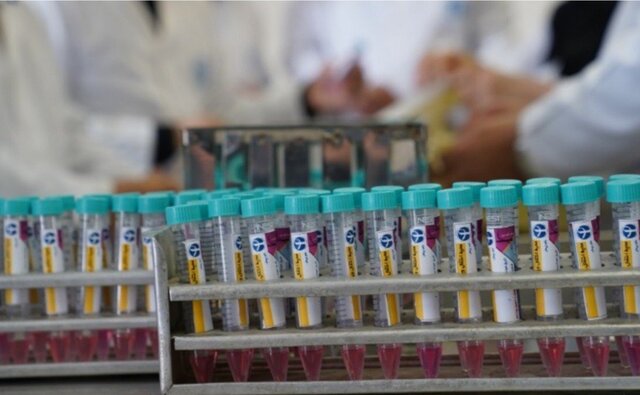 بازمهندسی ویروس «تبخال» برای درمان چهارمین سرطان کشنده دنیا