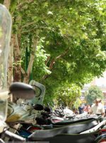 افزایش ۱۰ درصدی تصادفات فوتی موتورسواران در تهران