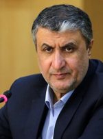 اسلامی: «نصب دوربین‌های آژانس فراتر از تعهدات ایران» کذب است