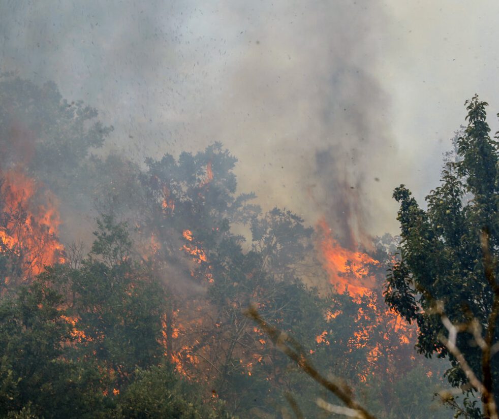 آتش سوزی در عرصه‌های طبیعی کشور ۱۳۵ درصد افزایش یافت