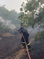مهار آتش سوزی جنگل های مریوان پس از ۳ روز/۴۵۰ هکتار جنگل‌ در آتش سوخته است