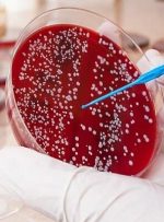 فناوران داروی درمان «سرطان خون» را ساختند