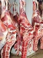 جریمه ۲ میلیارد تومانی یک فروشگاه به خاطر گرانفروشی گوشت