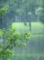 پیش‌بینی افزایش بارش‌ها از نیمه‌ دوم مهر در کشور