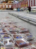 افزایش ۱۳ درصدی عرضه گوشت در بازار/ کاهش کشتار به معنای کاهش تولید دام زنده نیست