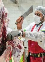 توزیع گوشت بالاتر از ۷۰۰ هزارتومان گرانفروشی است