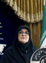 سخنگوی دولت: استاد مطهری را جریان تحجر ترور کرد