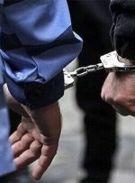 توضیحات پلیس درباره زورگیری از یک خانم + فیلم