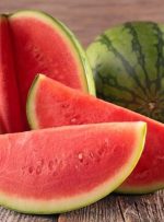 واکنش فلسفی به ادعای نماینده دومای روسیه درباره هندوانه ایرانی