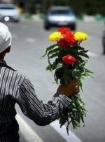 آغاز طرح ساماندهی گل‌فروشان در مسیر‌های منتهی به بهشت زهرا (س)
