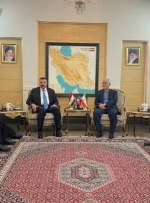 وزیر کشور عراق وارد تهران شد