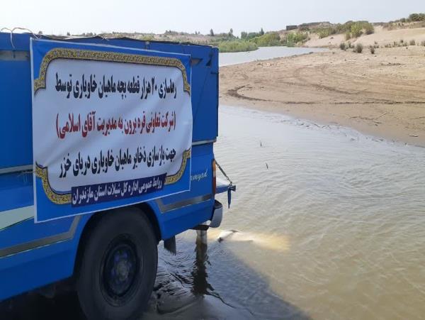 نخستین بار در ایران، گام بلند بخش خصوصی برای توسعه صنعت خاویار/ رهاسازی ۲۰ هزار قطعه بچه ماهی خاویاری در جویبار؛ گامی نو در راستای توسعه صنعت خاویار