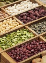 قیمت حبوبات پایان مرداد کاهشی می شود