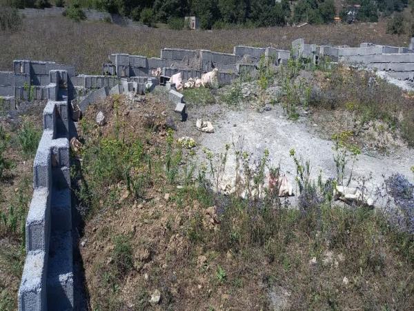 احیای ۲۰۰۰ متر مربع اراضی کشاورزی در سوادکوه با قلع و قمع ساخت و سازهای غیرمجاز احیای ۲۰۰۰ متر مربع اراضی کشاورزی در سوادکوه با قلع و قمع ساخت و سازهای غیرمجاز
