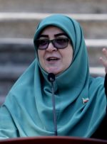 مهاجرانی: دولت در خصوص بنزین پنهان‌کاری ندارد/ استرداد لایحه مشاغل حساس