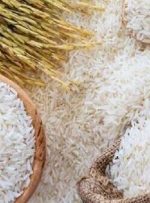 نوسانات بازار برنج فروکش کرد نوسانات بازار برنج فروکش کرد