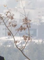 افزایش غلظت آلاینده‌ها در شهرهای پرجمعیت تا یکشنبه/ برف و باران در راه است