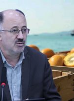 صادرات نزدیک به ۲۱ هزار تن میوه؛ محرک توسعه کشاورزی و اقتصاد مازندران