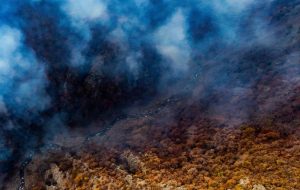 از بین رفتن خاک آلی چند میلیون ساله با آتش‌سوزی جنگل‌های الیت