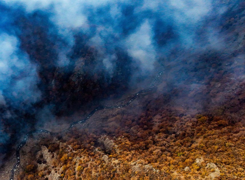 از بین رفتن خاک آلی چند میلیون ساله با آتش‌سوزی جنگل‌های الیت