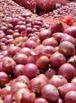 صادرات پیاز مازاد بر مصرف تسهیل می‌شود