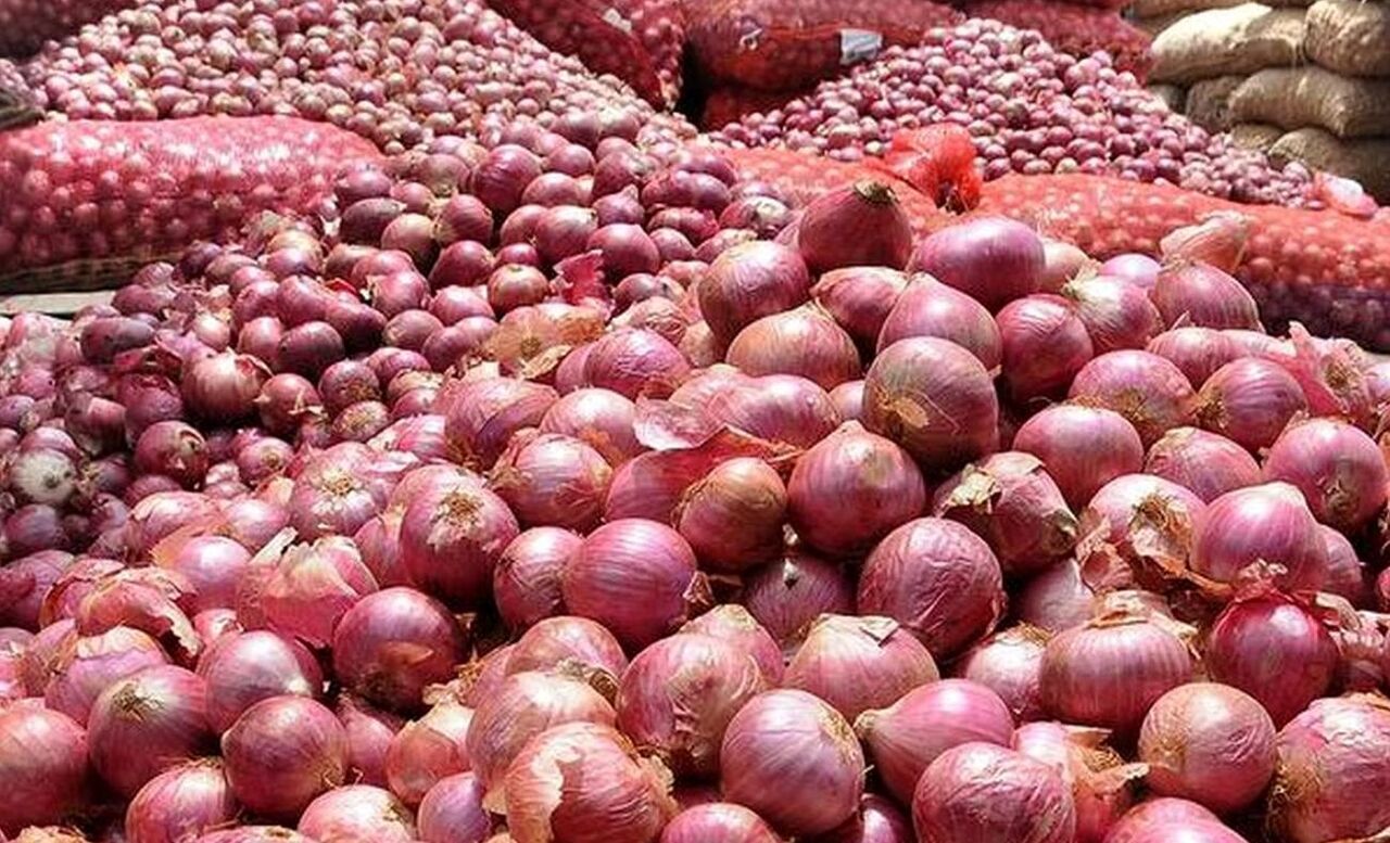 صادرات پیاز مازاد بر مصرف تسهیل می‌شود