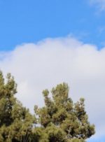 هوای تهران پاک شد